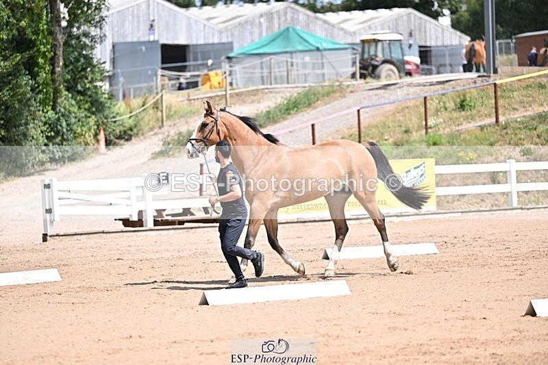250716-125004-00190 - Trot Up 12.30 to 1.30