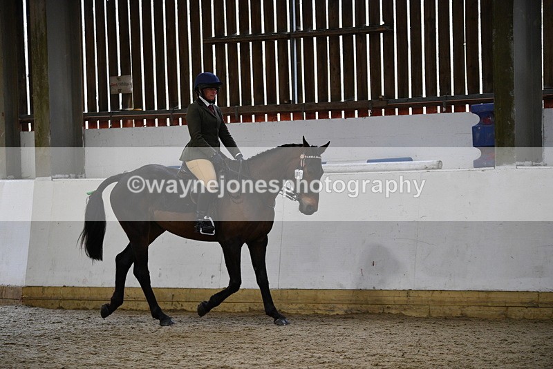 WJ5_7990 - Class 13 Ridden Part Breed