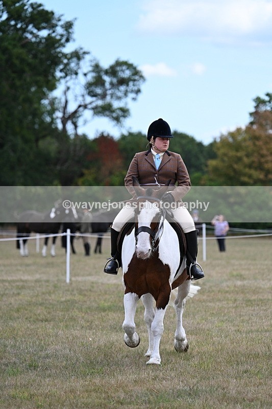 WJ7_5305 - Class 12 Ridden Cob