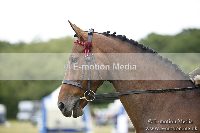 BVR160717-300 - Ring 1 BVRC Show 16/07/17