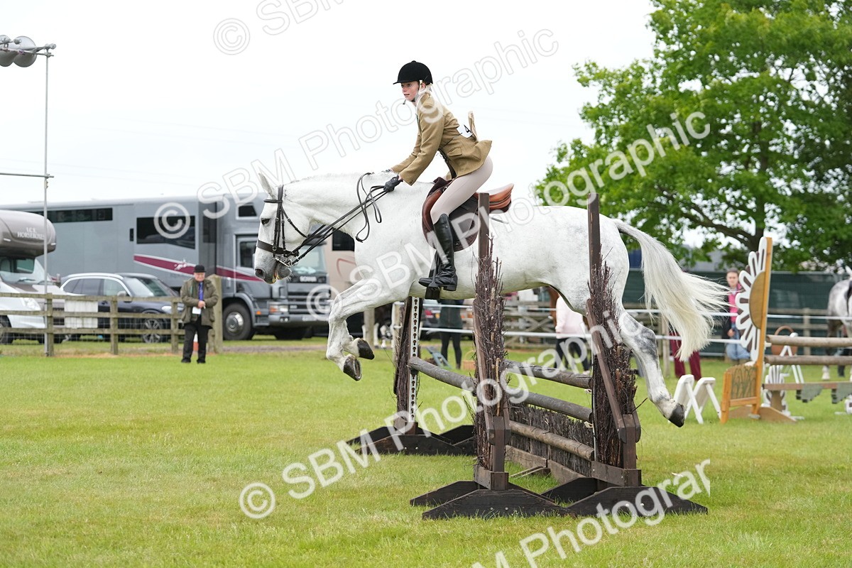 SBM_12526 - Class 97-98 - LIHS BSHA Rising Star Working Show Horse Hunter