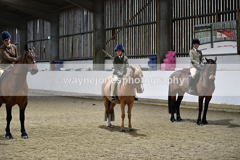 WJ5_8700 - Class 14 Novice Ridden/Rider