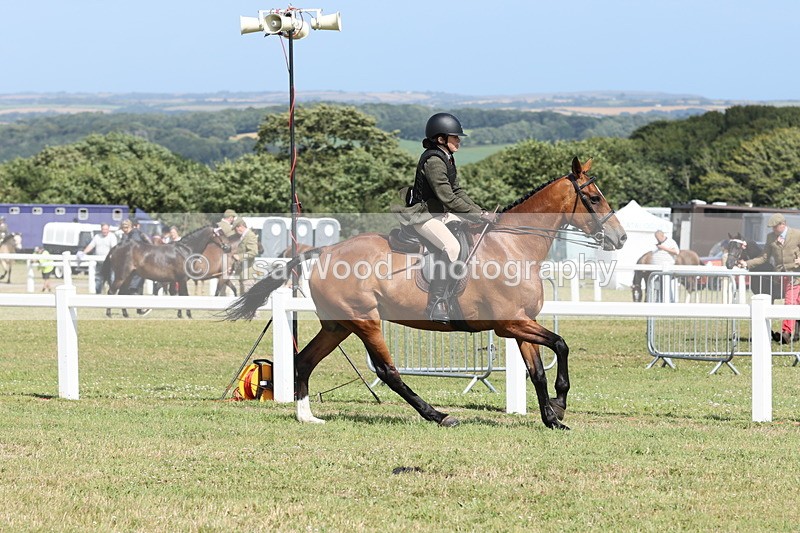 JPP_2299 - Class 19: Working Hunter 60cm