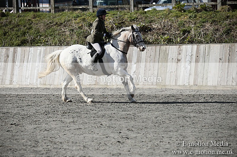 BVRC SJ 170319 228 - Bourne Valley Riding Club Showjumping 17/03/19