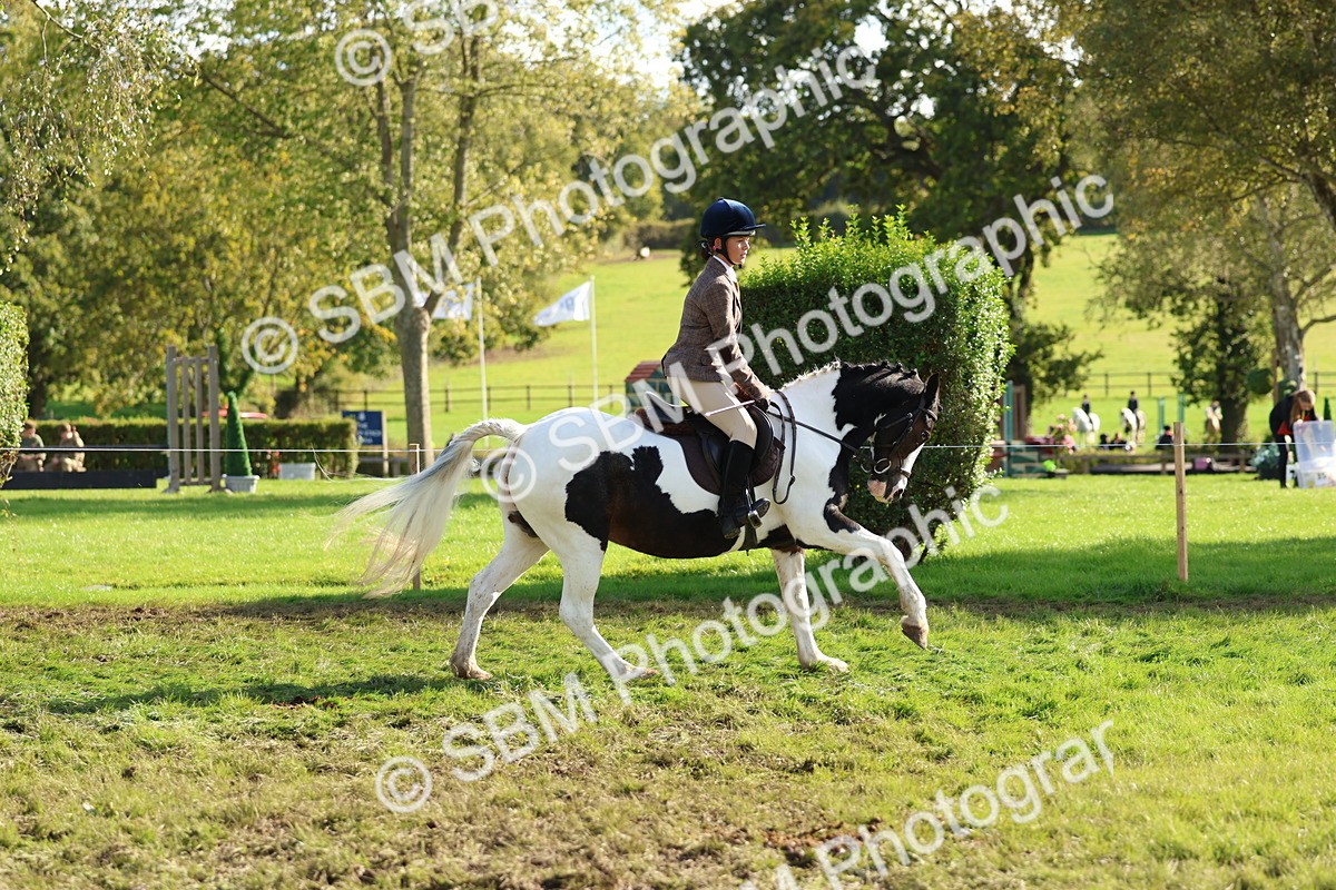 SBM_52411 - S13 - Pony Club Pony