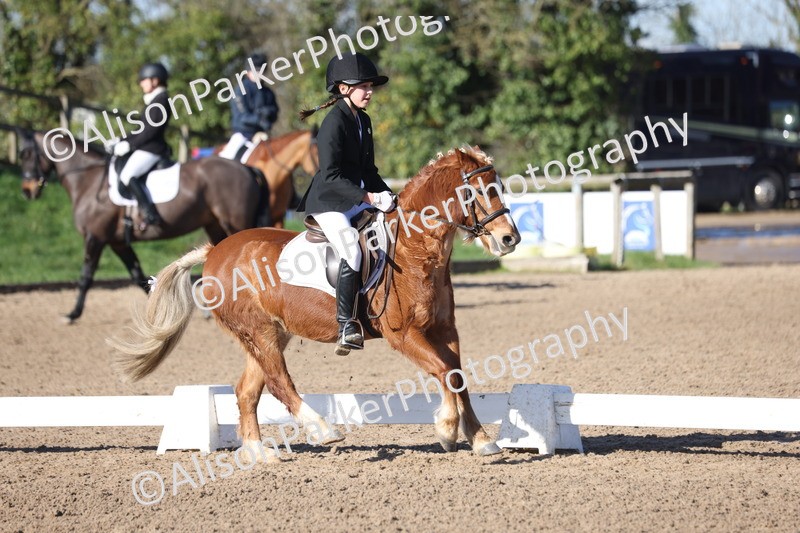 20260214-0361 - Class 4 - Novice 2