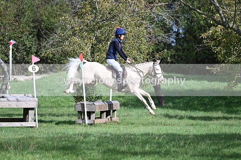 WJ7_8567 - 60cm Pairs