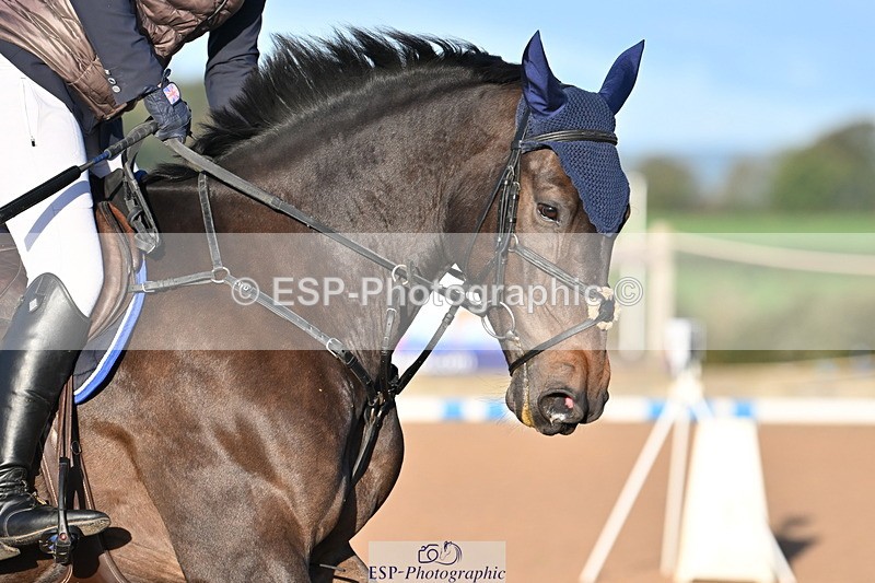 231015A-090118-06826 - Cls 28 Newcomers & 1.10m Open