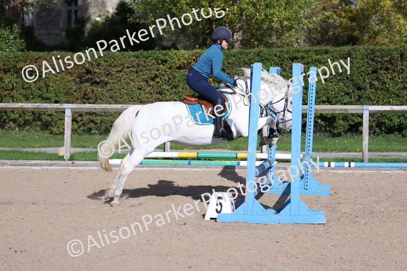 20251005-0328 - Class 3 - 60cm