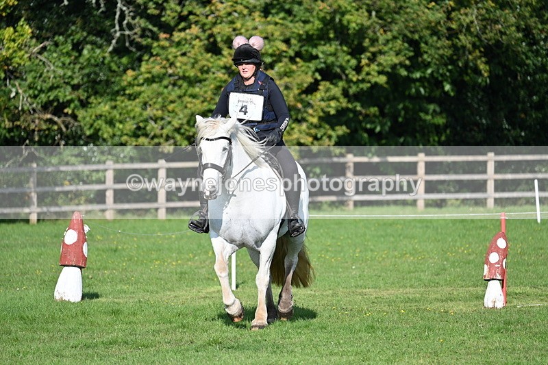 WJ7_3305 - 40cm Time 10:08 to 10:25