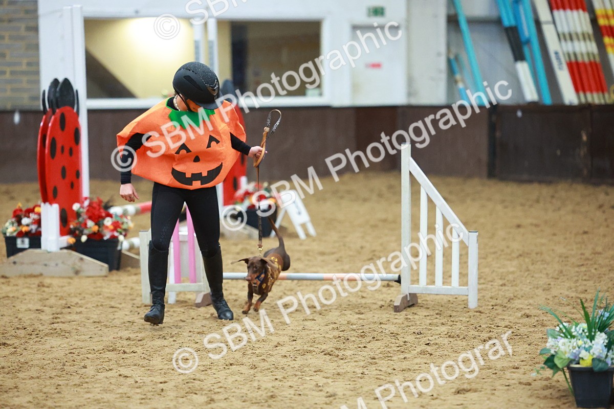 SBM_002203 - Class 3 - Horse & Hound (60cm)