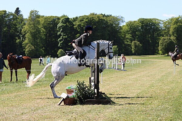 IMG_3954 - Working Hunter