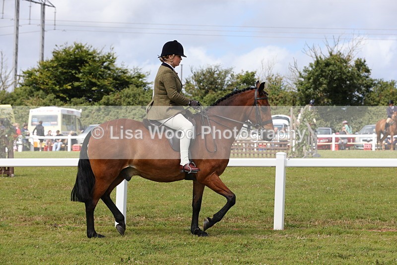 1X9A3952 - Class 32: Show Hunter Pony 153cm and under