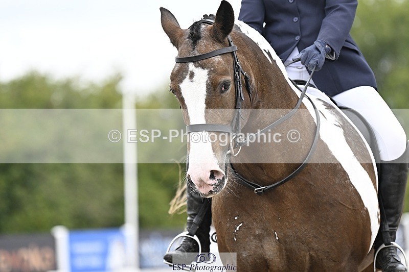 250907-123721-08073 - 080-Rebecca.MorrisSally.XIII