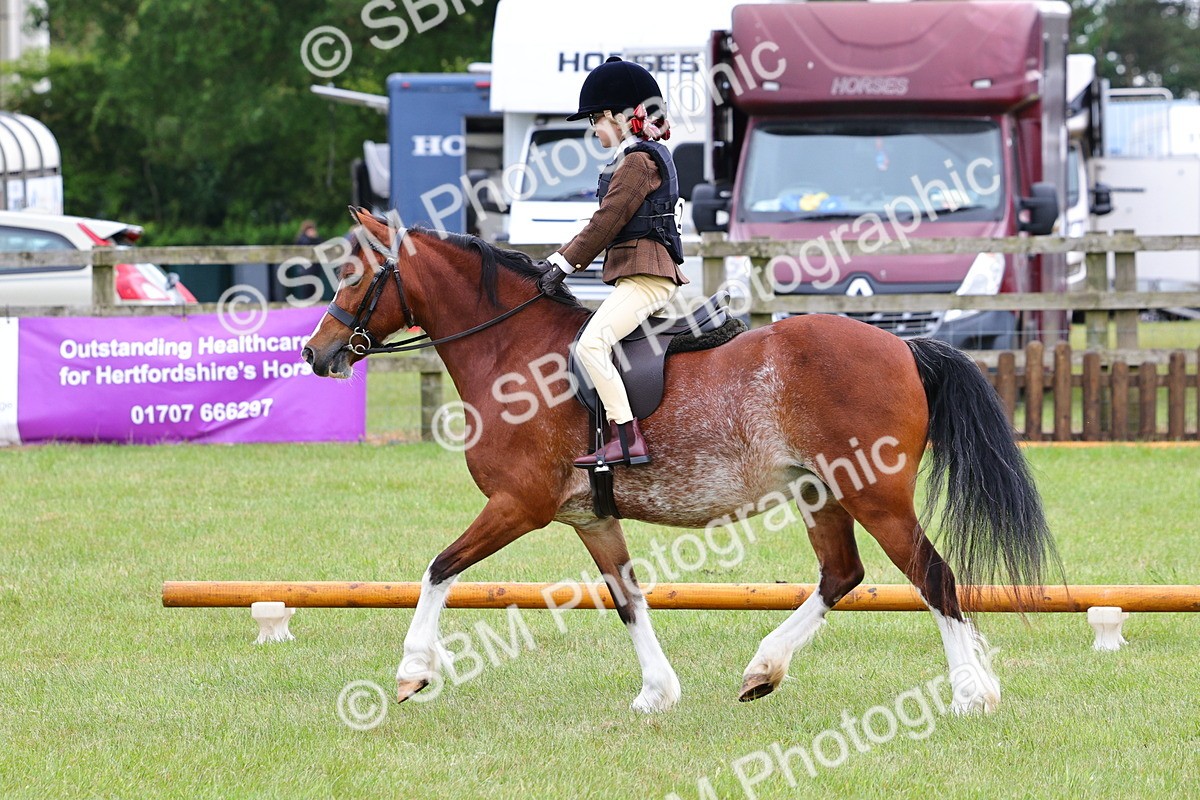 SBM_08772 - Class 42-43 - LIHS BSPS Heritage Working Sports Pony