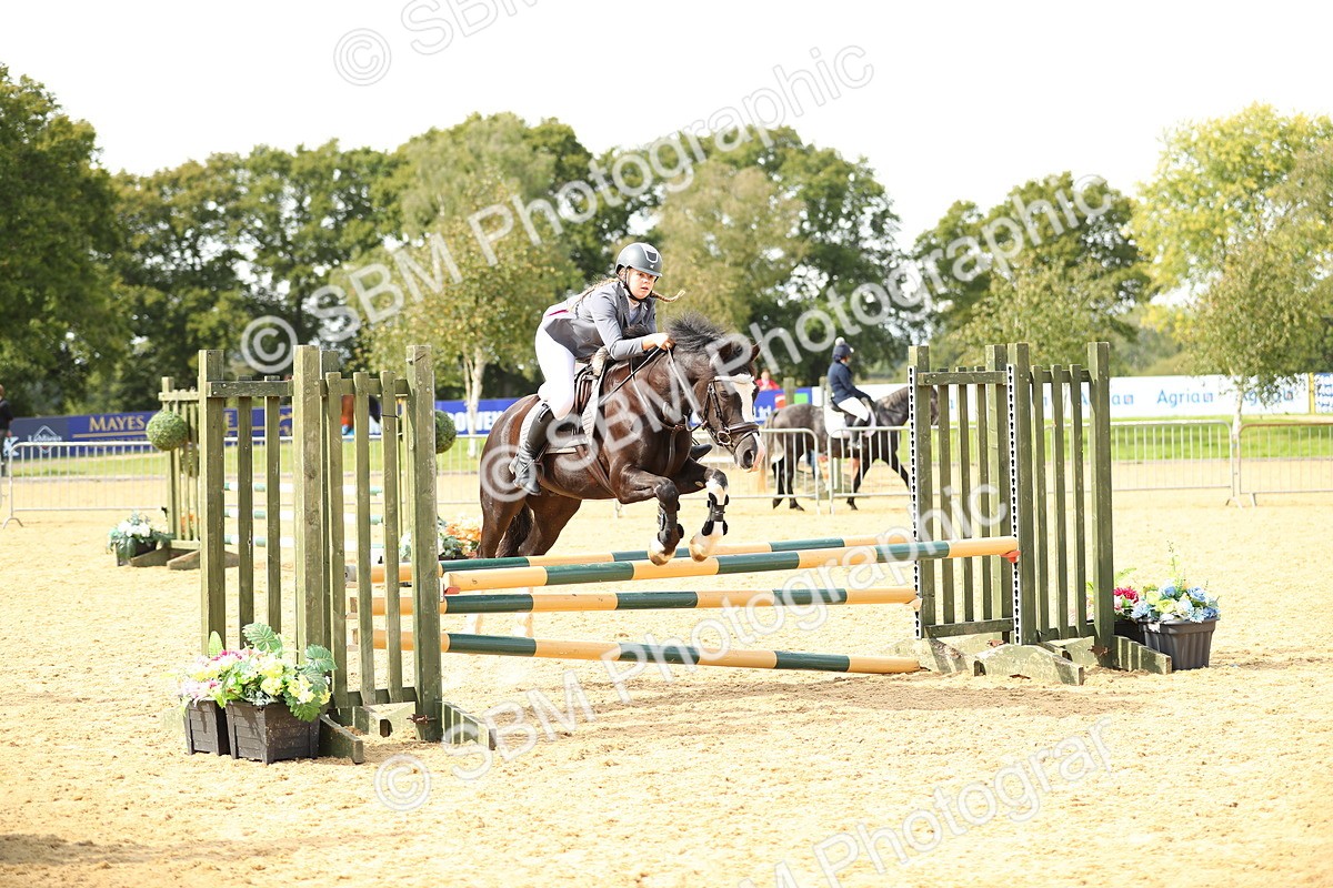 SBM_67114 - J17 - Junior Pony 80cm Championship