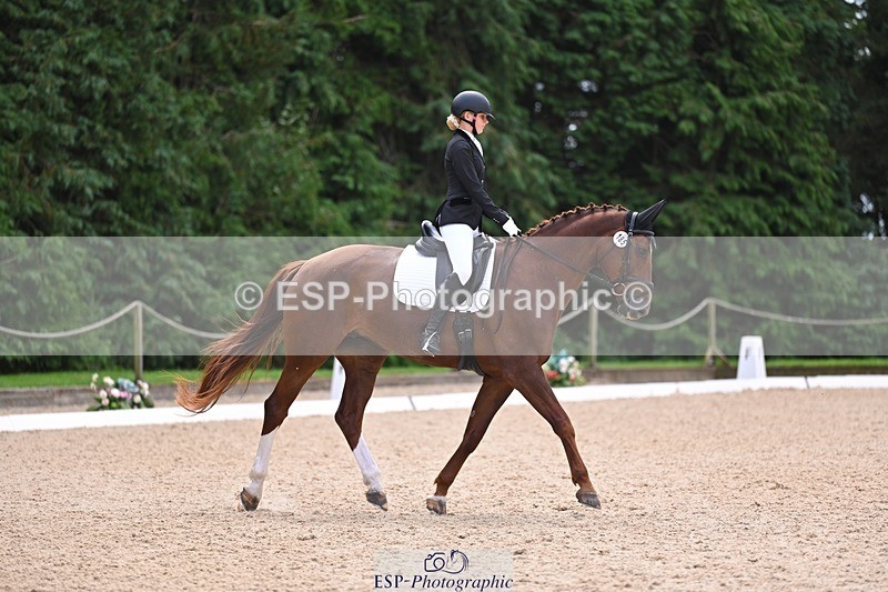 240809-121616-00718 - 185-Daisy.Hedges-Felicia.v