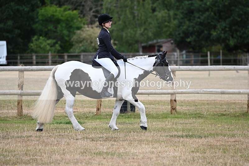 WJ6_3736 - Class 9 Tack & Turnout