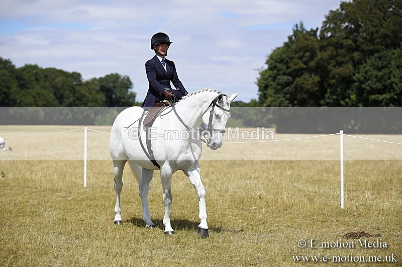 _C7A0203 - Side Saddle Classes BVRC Show 2018
