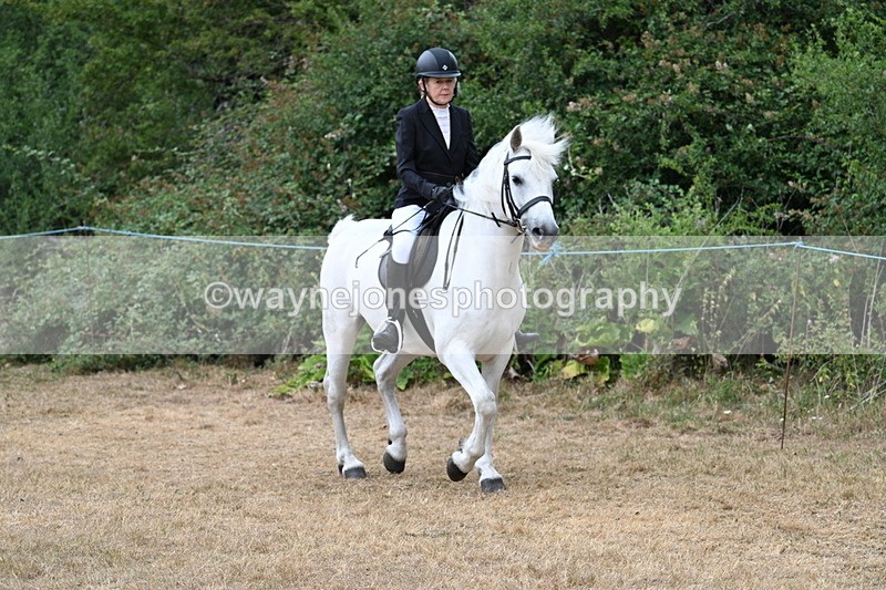 WJ7_0394 - Class 6 Ridden Mountain and Moorland