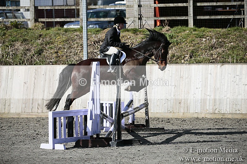 BVRC SJ 170319 151 - Bourne Valley Riding Club Showjumping 17/03/19