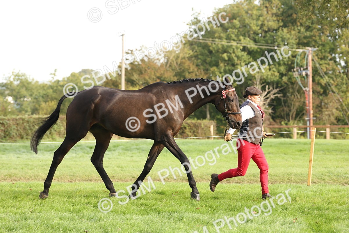 SBM_54665 - S53 - Hunter In Hand
