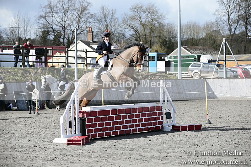 BVRC SJ 170319 616 - Bourne Valley Riding Club Showjumping 17/03/19