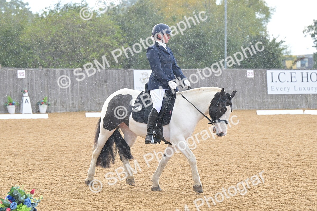 SBM_11182 - D3 - Small Tour Championship Intro 3