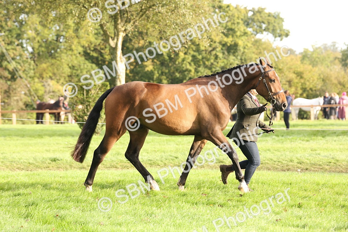 SBM_54685 - S53 - Hunter In Hand