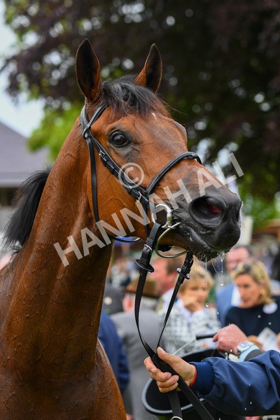 180523-Race 3-Croupier-0436 - Race 3 3.00pm Sky Bet Hambleton Handicap