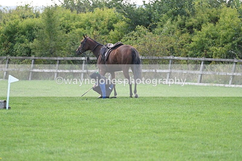 WJ7_0960 - Time 13:30 to 13:54