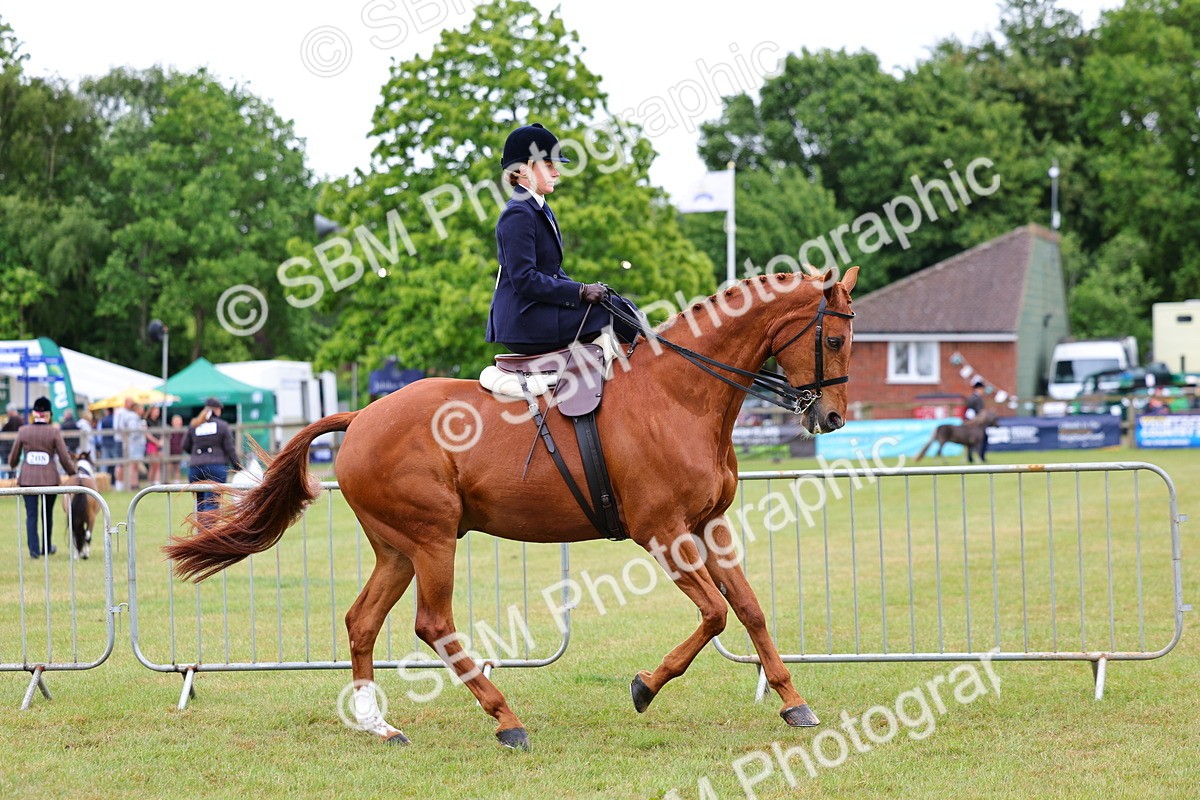 SBM_02730 - Class 9-11 Side Saddle including LIHS Rising Star Ladies Show Horse