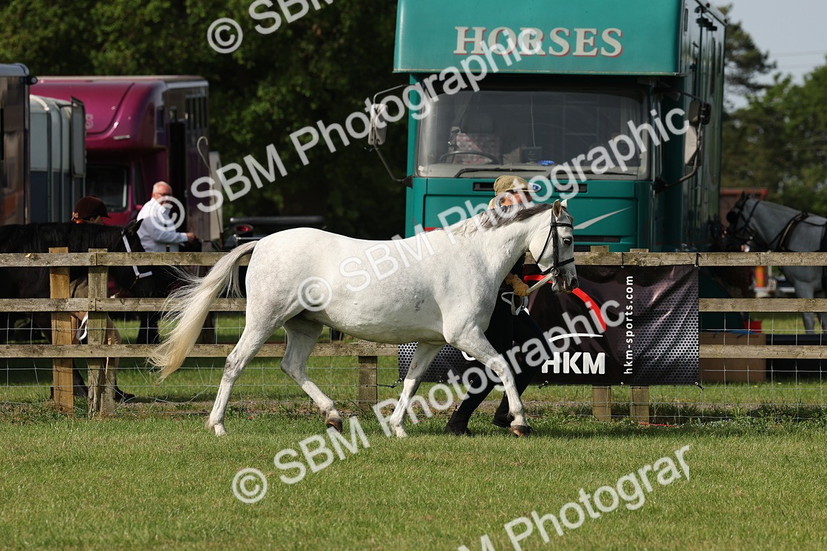 SBM_00778