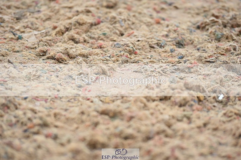 230916A-104058-03464 - Cls 21 British Novice & 90cm Open