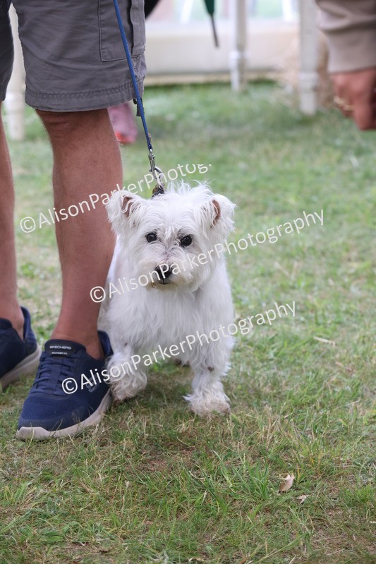 20250607-0452 - Best in Show