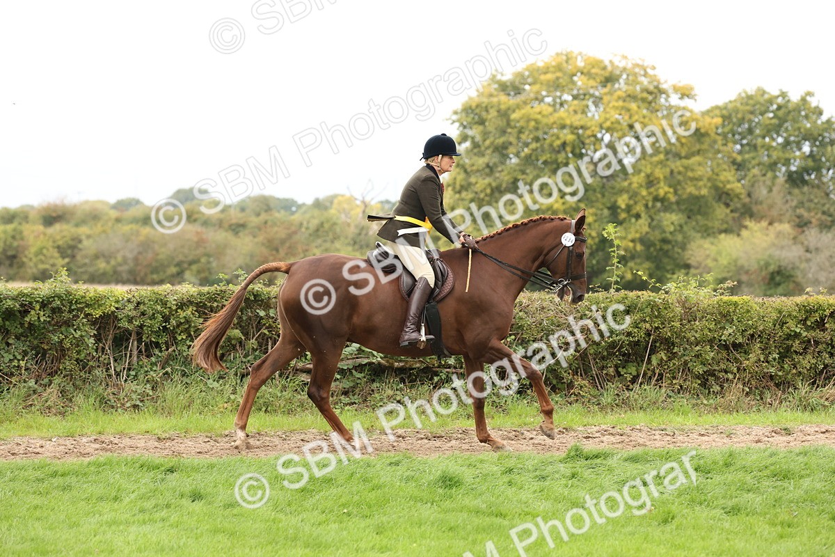 SBM_66422 - S66 - Hunter Ridden