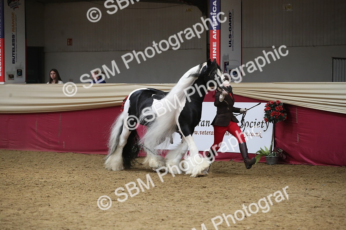 SBM_05472 - Class 9R - Regional IH Pre-Vet