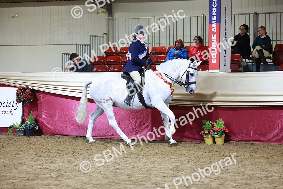 SBM_21257 - Class R - Veteran Champ