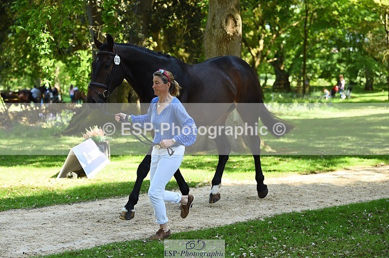 230524-152450-00251 - 326-GULLITH-Emily_Lochore-WEDTrotUp+DR