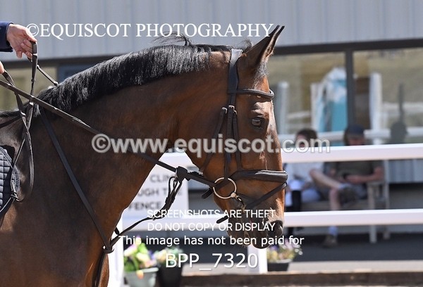 BPP_7320 - CLASS 14 FRI Nupafeeds Senior Dicovery/1m open