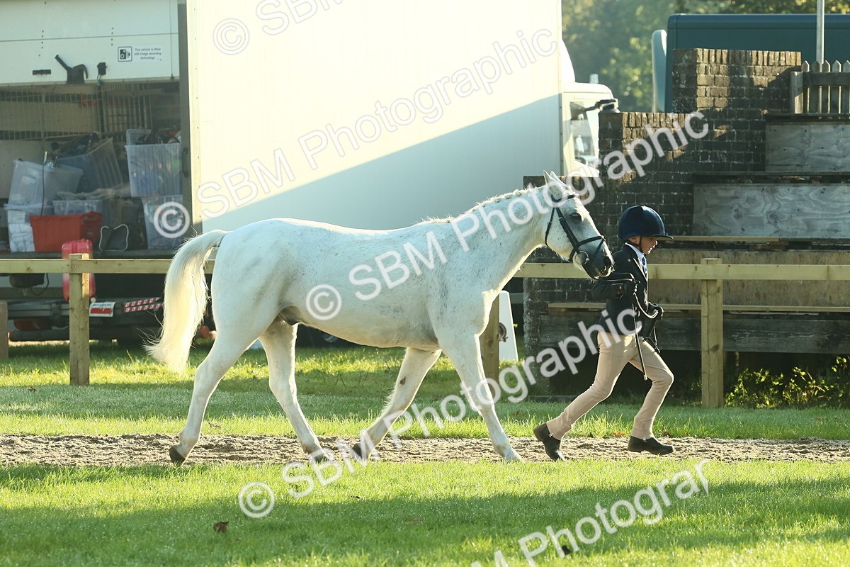 SBM_57356 - S37 - Starters In Hand Showing