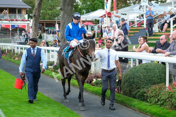 080925-Race 5-Elmonjed-9492 - Race 5 4.30pm Sky Bet Starman Garrowby Stakes