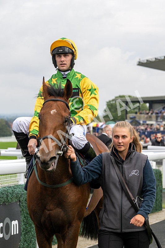 240924-Race 2-The Trickster-5973 - Race 2