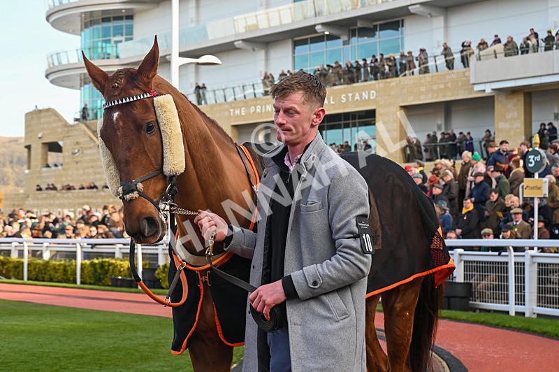 250125-Race 3-Moon DOrange-3272 - Race 3