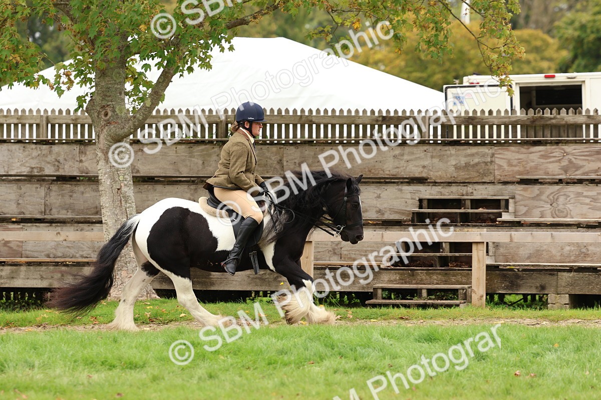 SBM_64619 - S58 - Coloured Pony Ridden