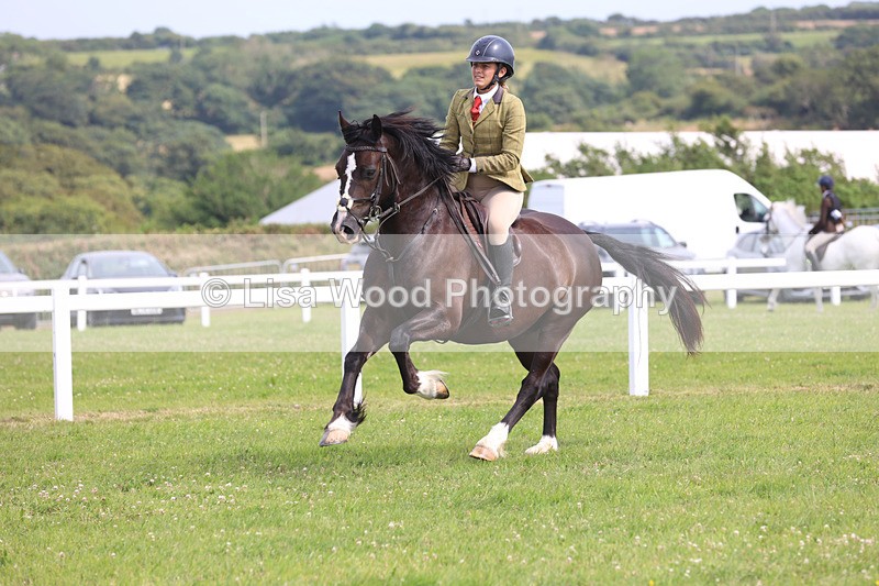 JPP_4028 - Class 24: Working Hunter 90cm