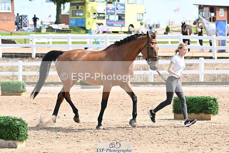 240717A-155339-03150 - Trot Up 3pm to 4pm