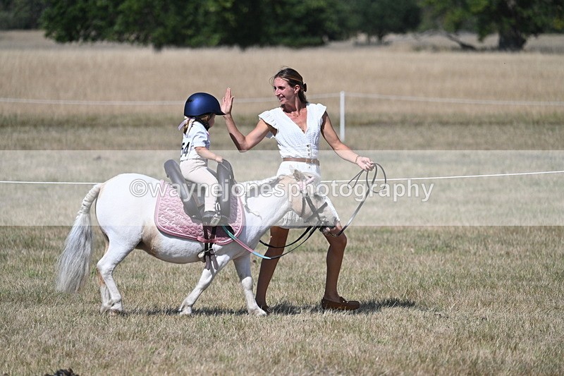 WJ7_1237 - Class 41 Prettiest Mare