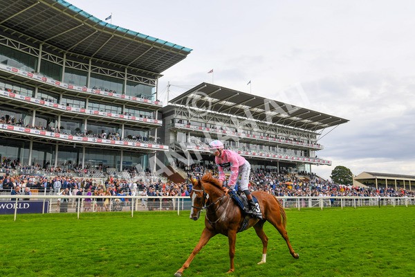 250823-Race 4-Live In The Dream-0652 - Race 4 3.35pm Coolmore Wootton Bassett Nunthorpe Stakes