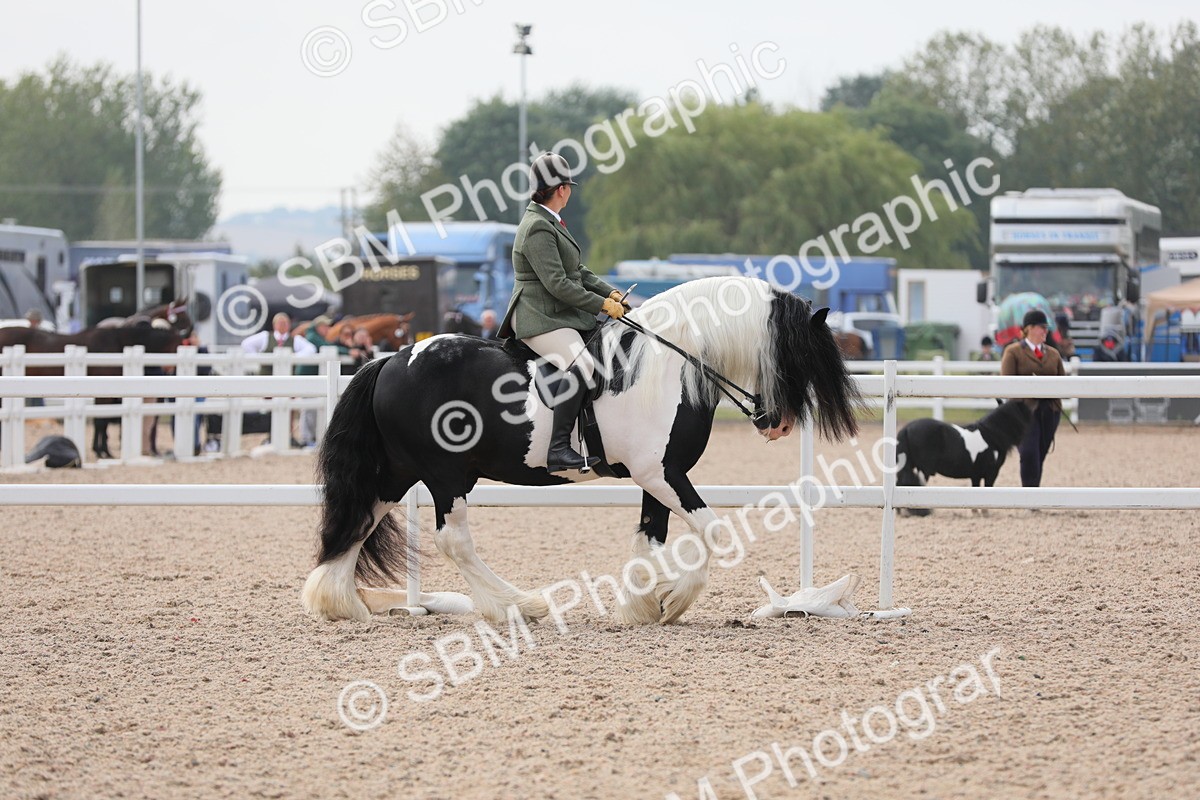 SBM_12651 - Class 307 Ridden Coloured Pony